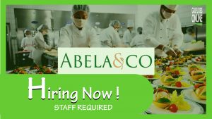 abela &co jobs