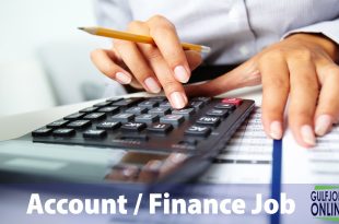 Account/Finance Job