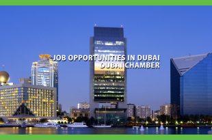 dubai chamber job