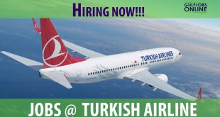 turkish airline job