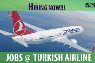 turkish airline job