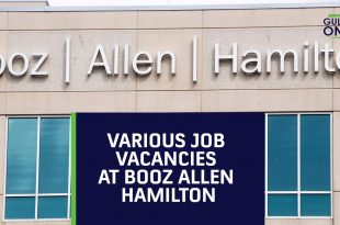 boozallenhamiltonjobs